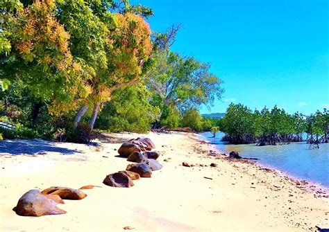 Beautiful Elim Beach On A Warm Sunny Day In Far North Queensland