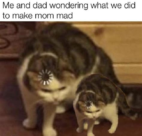 18 Funny Loading Cat Memes For Some Laughs Unravel Brain Power