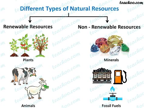 Types Of Natural Resources With Examples Teachoo Concepts