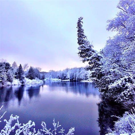 Winter Wonderland Alpena Michigan Winters Winter Pictures
