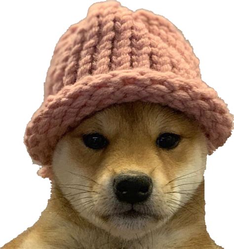 Dog Wif A Hat Junior