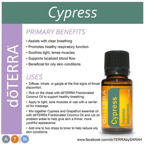 Essential Oils Guide Doterra Yoiki Guide