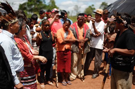 Direitos dos povos indígenas e direito ambiental sob ataque no Brasil alertam relatores da ONU
