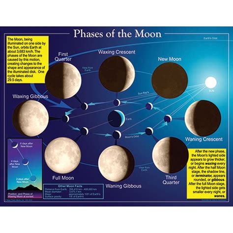 Phases Of The Moon Chart CD Carson Dellosa Charts Science