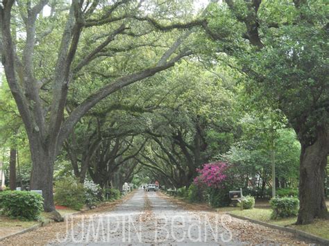 Albany Ga Picture Of Avenues Need A Vacation Vacation Spots Albany