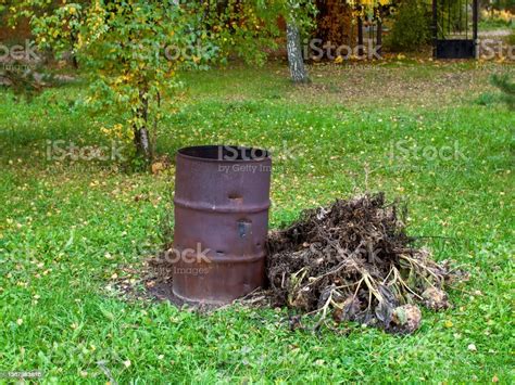 Old Iron Barrel For Burning Garbage Stock Photo Download Image Now