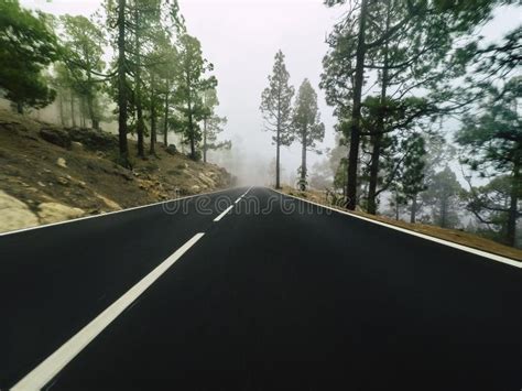 Long Way Road At The Mountain With Pines Forest And Fog Clouds In Front