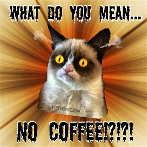 Scoop cat toy door spoons spoon coffee spoon glass soup ceramic soup spoon lui coffee bebe jumpsuit kitchen utensil molecular cuisine kat toy. 17 Best images about coffee anyone? on Pinterest | The ...