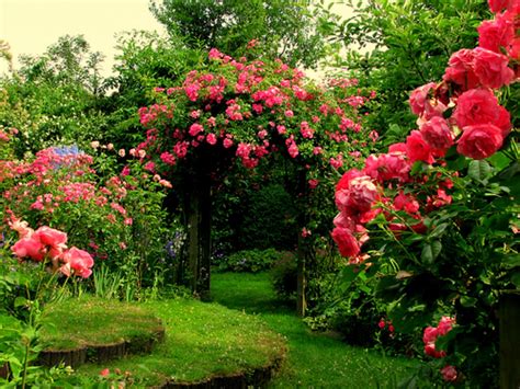 Rose Garden Wallpapers Top Free Rose Garden Backgrounds Wallpaperaccess