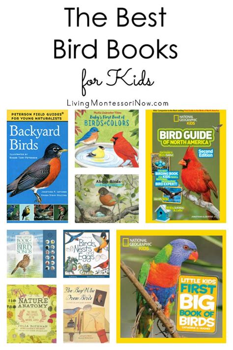 Birds Birds Book Specially Made For Kids