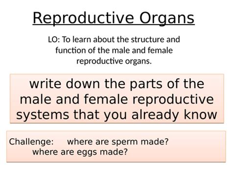 Reproduction Sex Organsreproductive Systems Lesson 2 Chapter 3