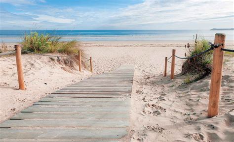 Path Beach Sand Nature Wall Paper Mural Buy At Ukposters