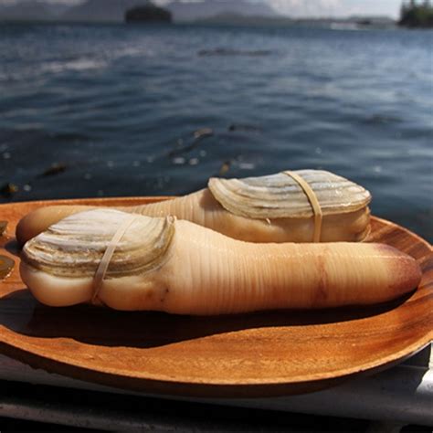 Live Geoduck Clam 安心源 Sonaturalhk Hong Kong Online Seafood