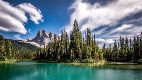 Download Wallpaper 1920x1080 Mountains Lake Spruce Forest Sky Full Hd Hdtv Fhd 1080p Hd
