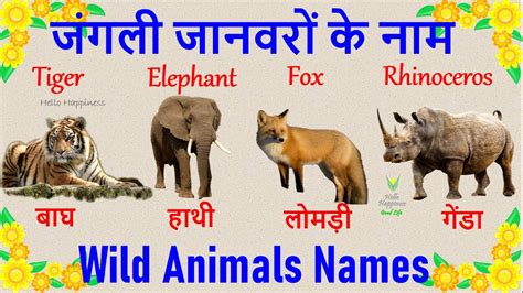 Wild Animals Names With Picture जंगली जानवरों के नाम Wild Animals