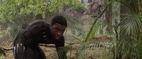 A collection of the top 35 black panther infinity war wallpapers and backgrounds available for download for free. Image - T'Challa (No Place To Die).png | Marvel Cinematic ...