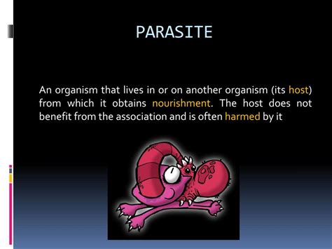 Ppt Malarial Parasite Powerpoint Presentation Free Download Id 2126850