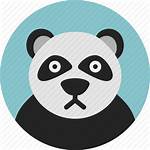 Panda Animal Svg Icon Zoo Icono Icons
