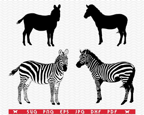 Svg Zebras Black Silhouettes Digital Clipart Files Eps  Zebras
