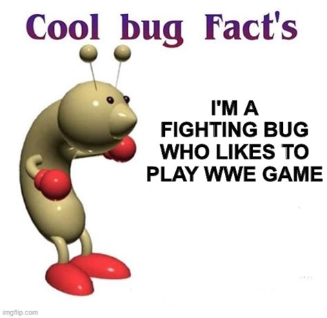 Cool Bug Facts Imgflip