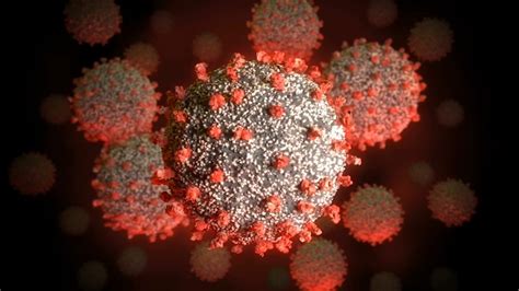 The virus is very serious, please follow the guidance of your local authorities and if you believe you may have symptoms contact them immediately. Coronavirus: Mental health expert offers tips to manage ...