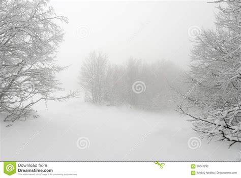 Laconic Winter Landscape Snow Drifts And Branches Stock Photo Image