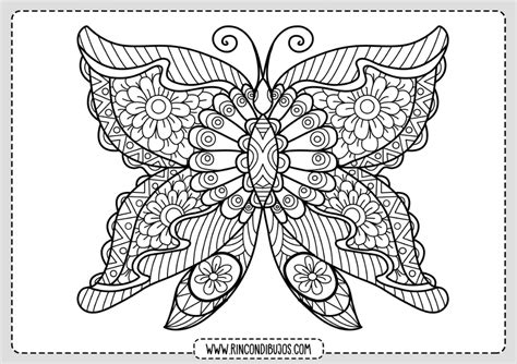 Dibujo Mariposa Bonita Para Colorear Rincon Dibujos Dibujos De