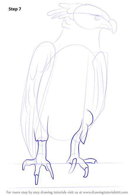 Learn How To Draw A Harpy Eagle Bird Of Prey Step By Step Drawing