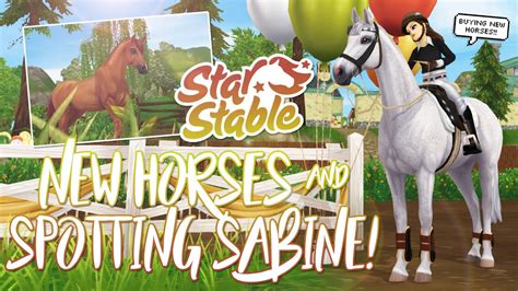 Buying New Horses And An Update On Sabine Star Stable Updates Youtube