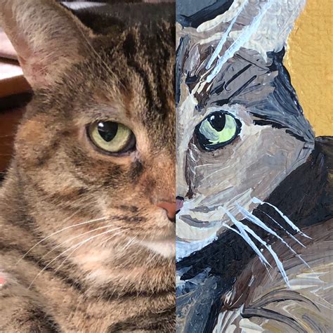 Custom Cat Portraits Custom Animal Portraits Custom Painting Custom