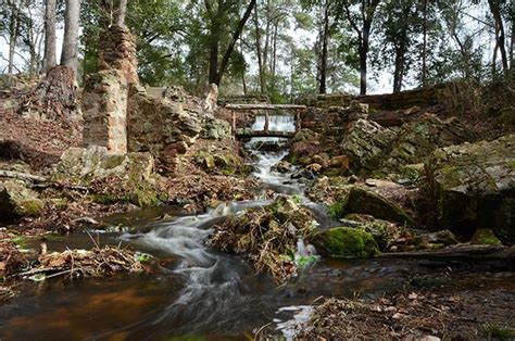Maybe you would like to learn more about one of these? Poinsett State Park - Wedgefield, South Carolina