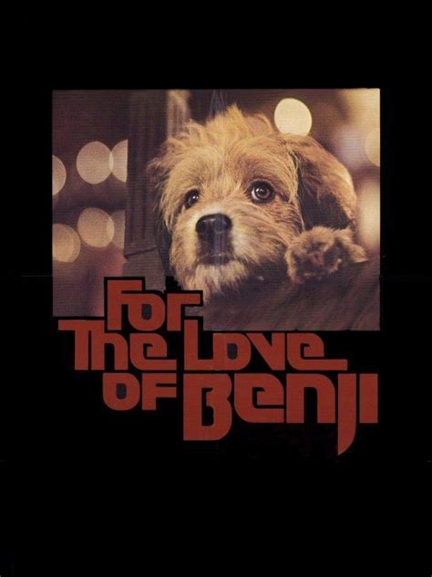 For The Love Of Benji 1977 Rotten Tomatoes