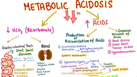 Metabolic Acidosis Introduction Youtube