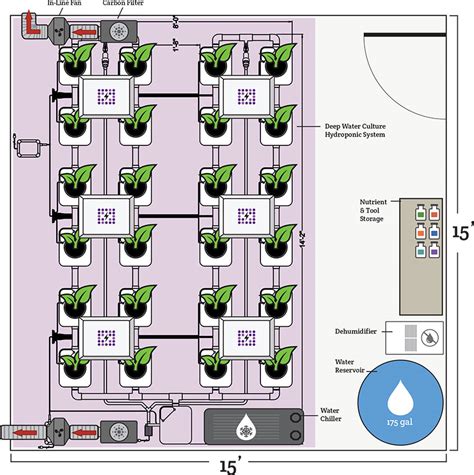 Indoor Grow Room Design And Setup Examples Hydrobuilder Learning