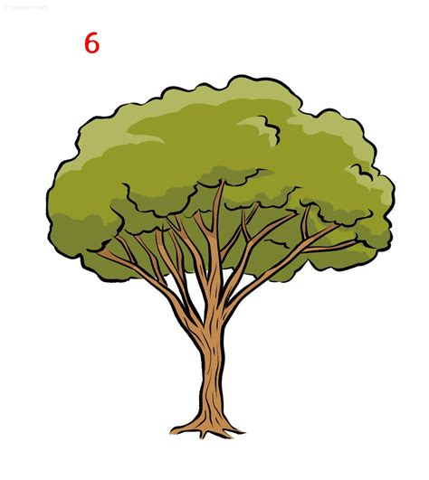Dibujo fácil de un árbol Cómo dibujar un árbol