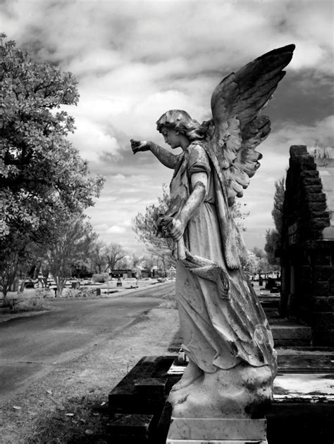 Download Free 100 Angel Black And White