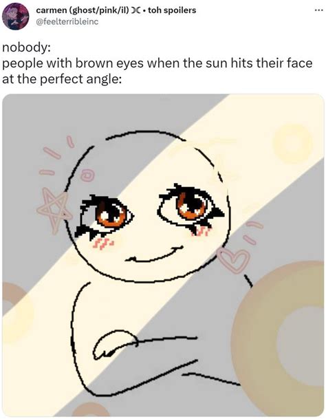 Nobody People With Brown Eyes When The Sun Hits Their Face At The Perfect Angle People With