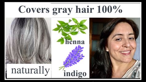 Some people find the indigo color fades slightly over several weeks, and the henna begins to show through. how to color gray hair naturally + how to mix henna and ...