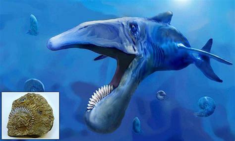 Fossil Of Prehistoric Fish With Circular Saw Teeth Found In Russia