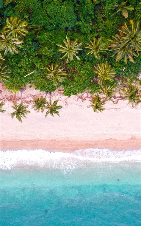 Download 1200x1920 Tropical Island Palm Trees Aerial View Top View