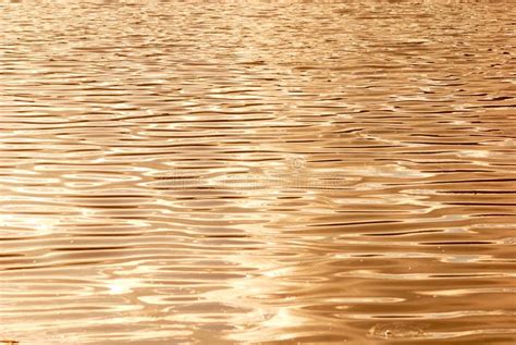 Gold Water And Sunset For Backgrounds Stock Photo Image Of Dusk Dawn