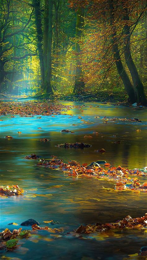 River Sunbeam Autumn 4k Iphone Wallpapers Free Download