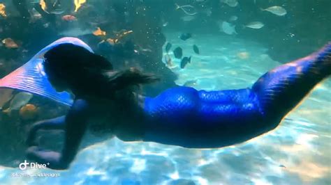 Swimming Aquarium Mermaid Youtube