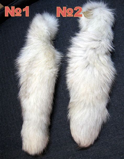 Real Large Arctic Fox Tails Genuine Fox Fur Tails Natural Fur Etsy