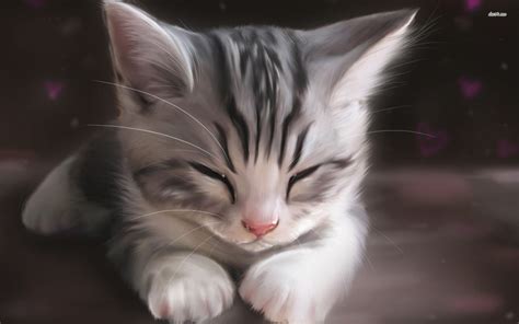 Anime Cat Painting Cute Wallpaper 1920x1200 683499