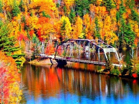 Pin By Sherry Soetaert On Michigan Say Ya To Da Up Hey Fall In