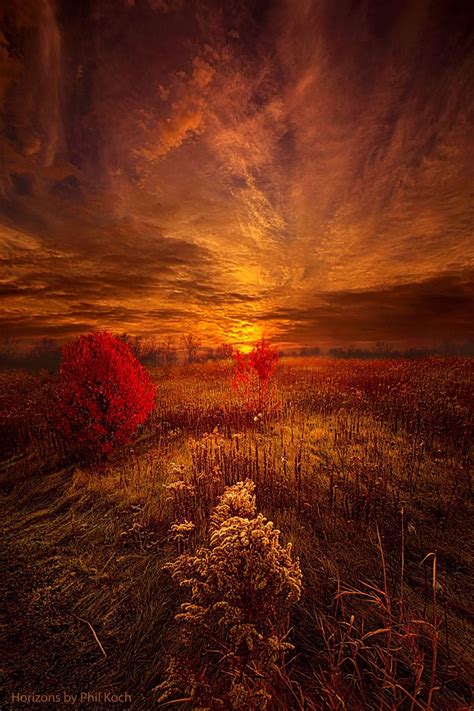 Following Your Heart Horizons By Phil Koch Orange