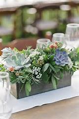 Succulent Flower Arrangements Wedding Pictures