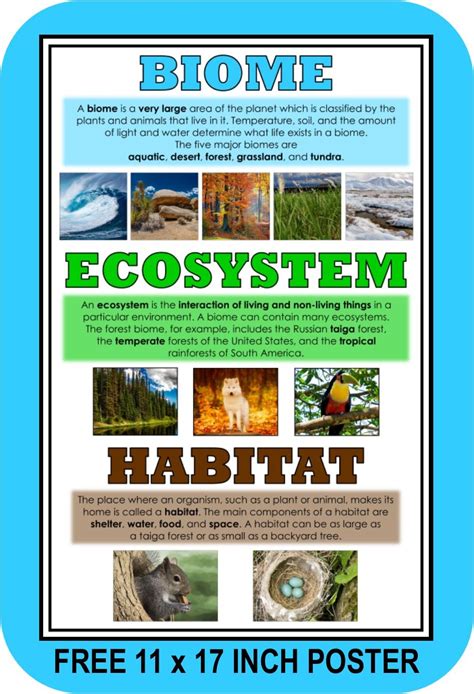 Sometimes the term biota, which refers to. Biomes & Ecosystems: WHAT IS A BIOME? POSTER | Biomes ...