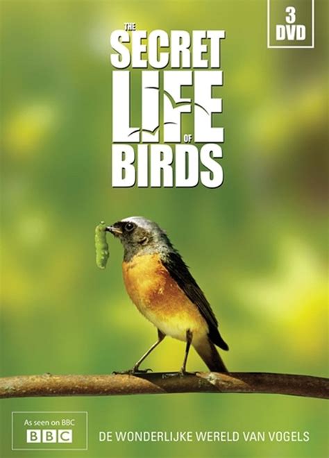 The Secret Life Of Birds Dvd Dvds